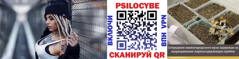 Псилоцибиновые грибы MAGIC MUSHROOMS  Новоульяновск 